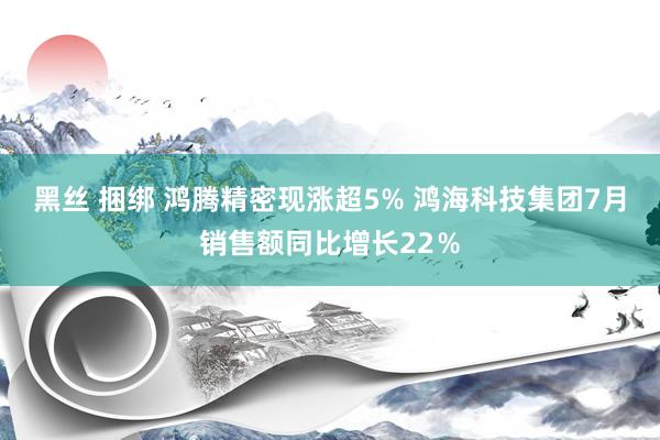 黑丝 捆绑 鸿腾精密现涨超5% 鸿海科技集团7月销售额同比增长22％