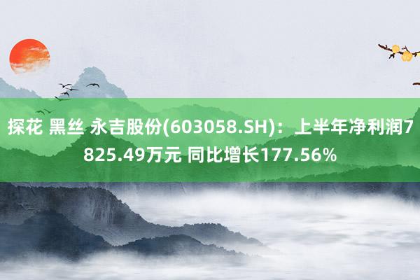 探花 黑丝 永吉股份(603058.SH)：上半年净利润7825.49万元 同比增长177.56%