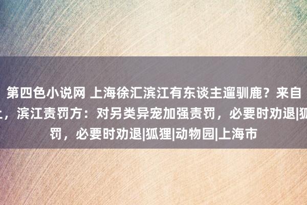 第四色小说网 上海徐汇滨江有东谈主遛驯鹿？来自近邻市集宠物乐土，滨江责罚方：对另类异宠加强责罚，必要时劝退|狐狸|动物园|上海市